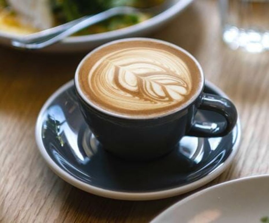 Cappuccino Kopjes Mokken Fabriek | Acme Dolphin Latte Kop 28 Cl. Grijs