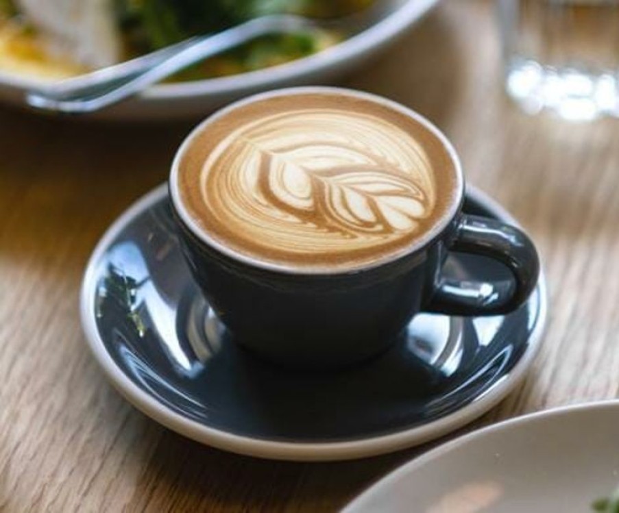 Cappuccino Kopjes Mokken Fabriek | Acme Dolphin Cappuccino Kop 19 Cl. Grijs
